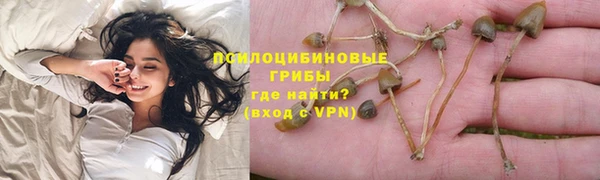 стафф Волосово